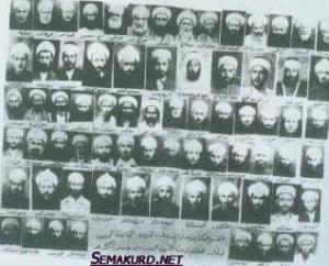 مشايخ المنطقة مشايخ المنطقة