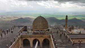 برية ماردين برية ماردين